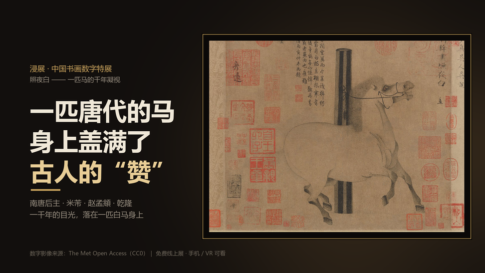 一匹唐代的马,身上盖满了古人的“赞”