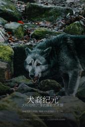 新闻封面